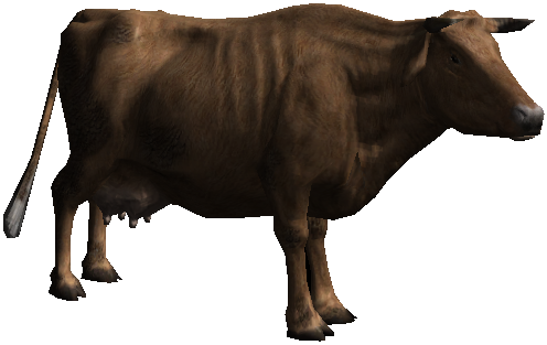 Ox Animal PNG Image File