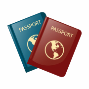 Pasaporte transparente