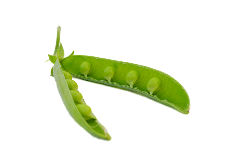 Pea PNG Background