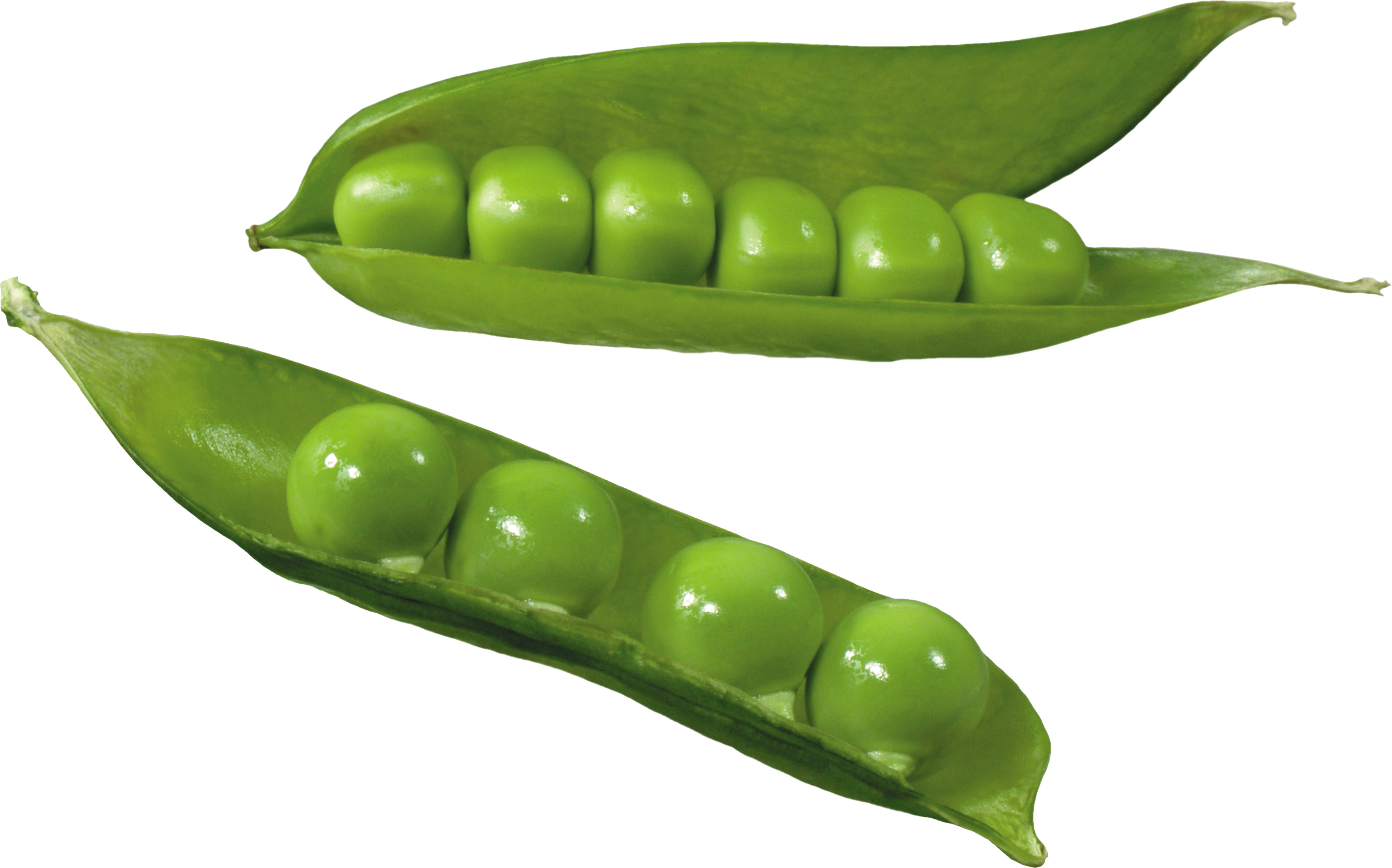 Pea PNG Clipart Background