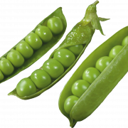 Pea PNG High Quality Image