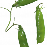 Pea PNG Images