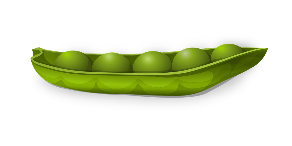 Pea PNG Images HD