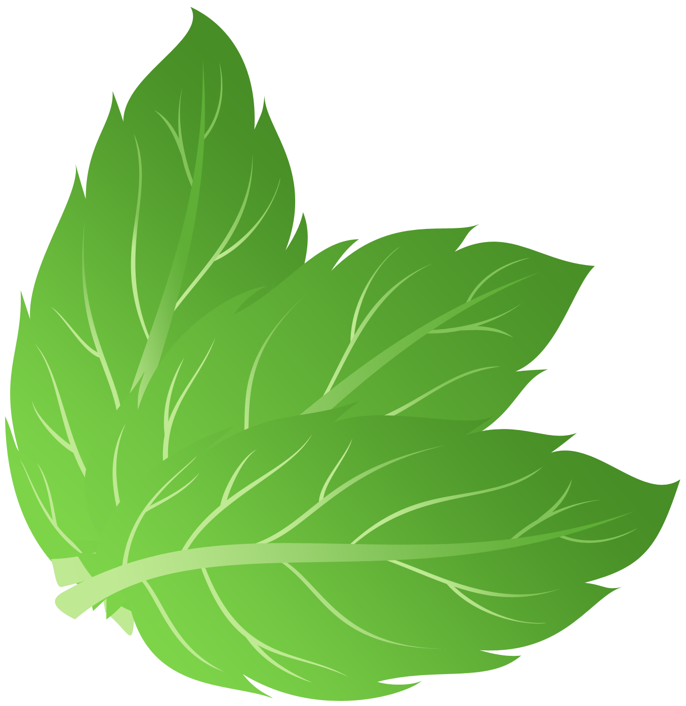 Peppermint PNG Free Image