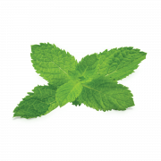Peppermint PNG Photo