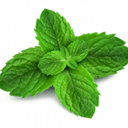 Pic Peppermint png