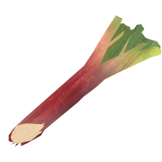 Pic png rhubarb