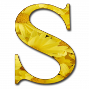 S Letter PNG Images