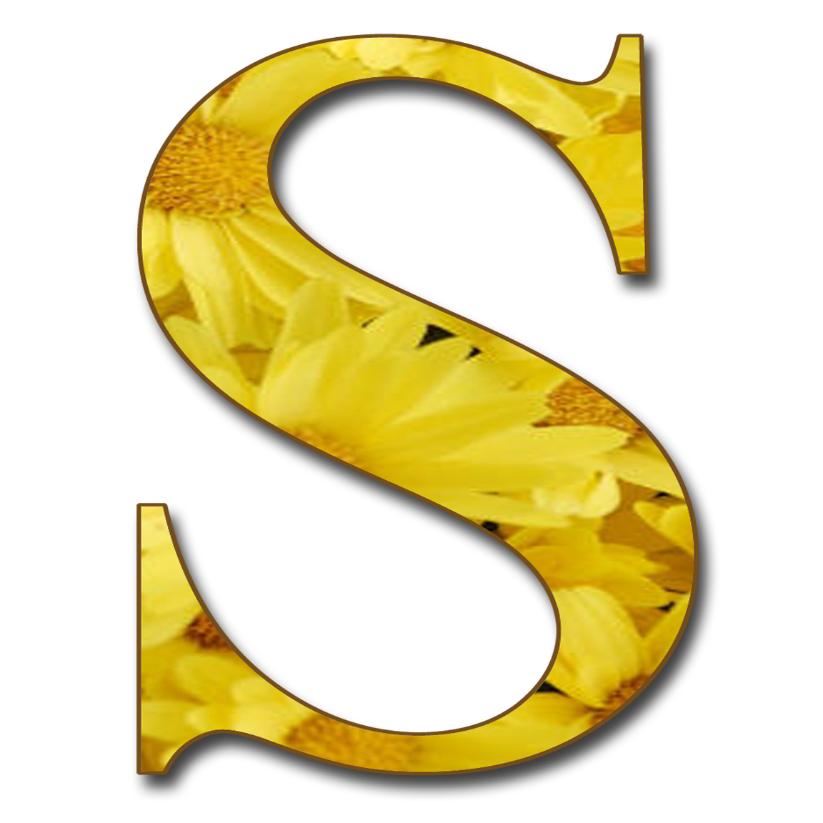 S Letter PNG Images