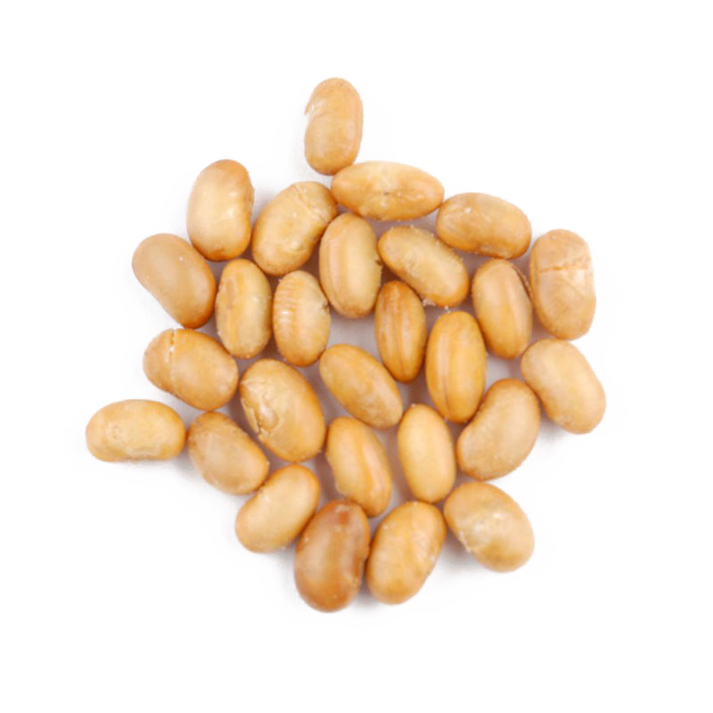 Soybean PNG File