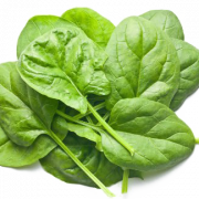 Clipart png di spinaci