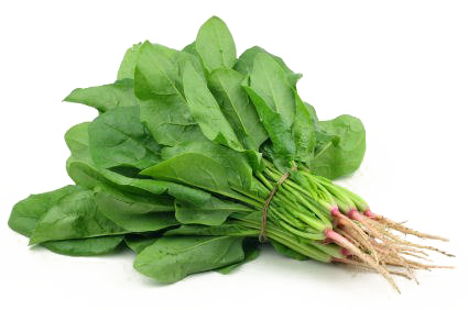 Spinach PNG Download Image