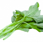 File PNG di spinaci