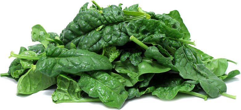 Spinach PNG File Download Free