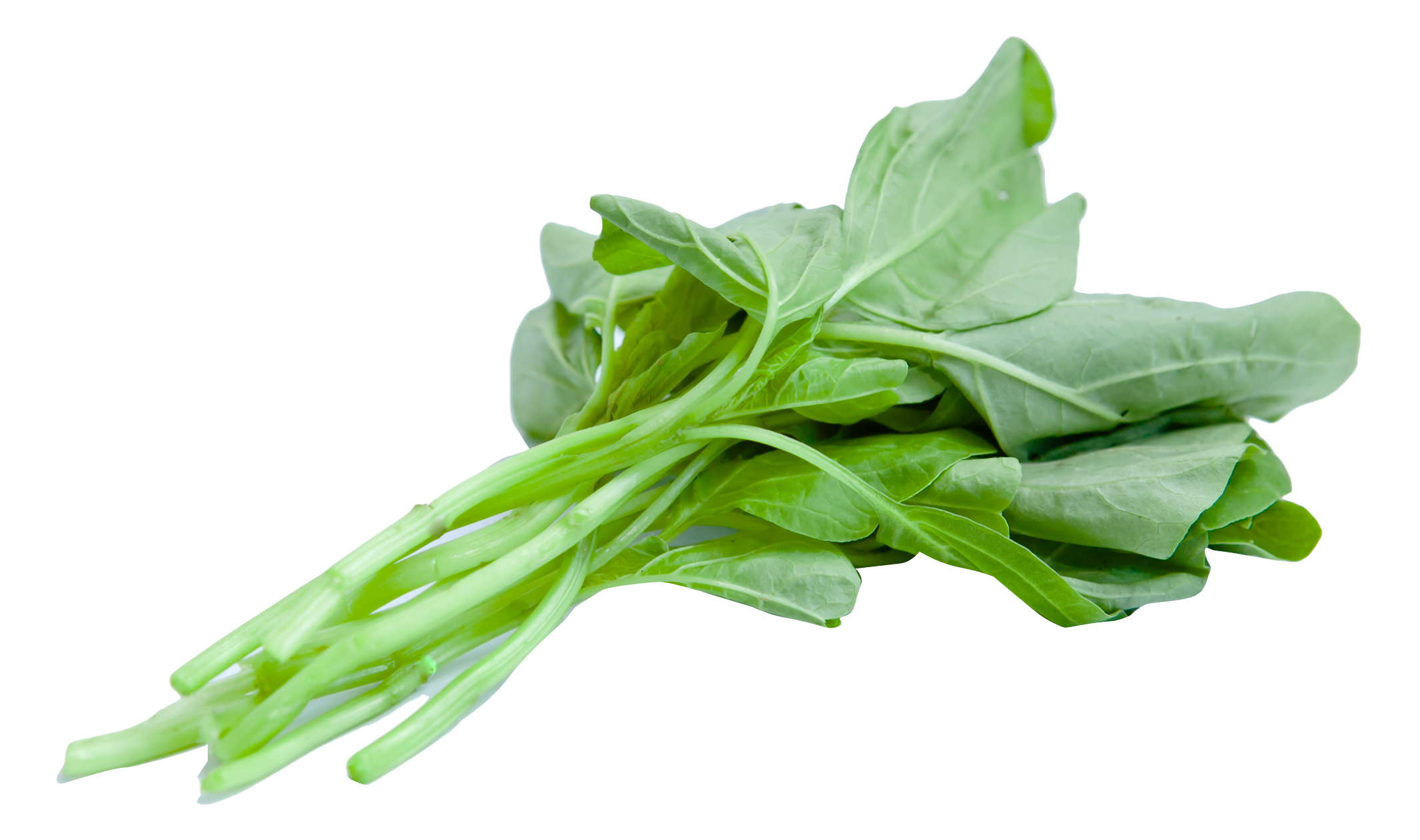 File PNG di spinaci