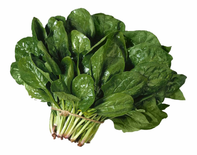 Spinach PNG Free Download