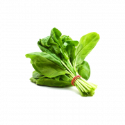 Immagine di alta qualità di spinaci png