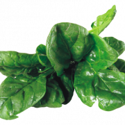 File di immagine PNG di spinaci