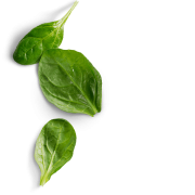 Spinaci png immagine hd