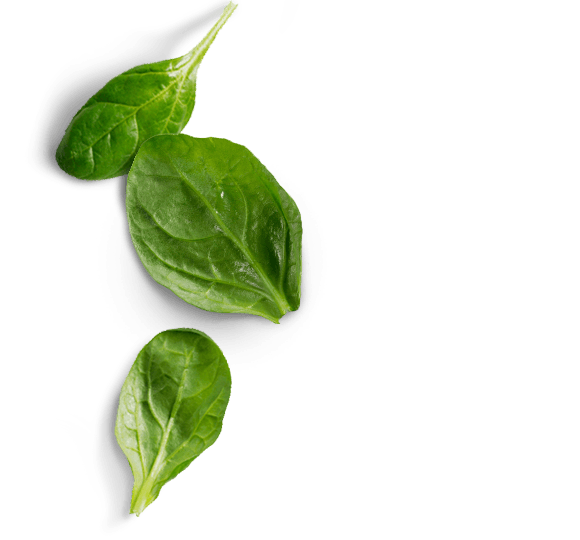 Spinach PNG Image HD