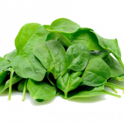Immagini PNG di spinaci