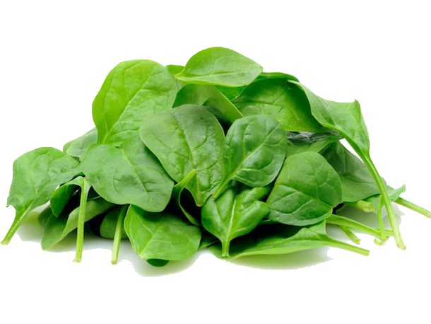 Spinach PNG Images