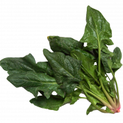 Spinach PNG Photo