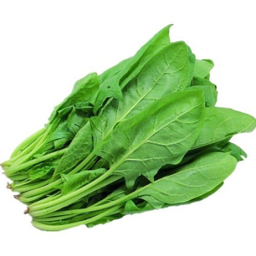 Spinach PNG Picture