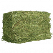 Square Hay PNG kostenloser Download