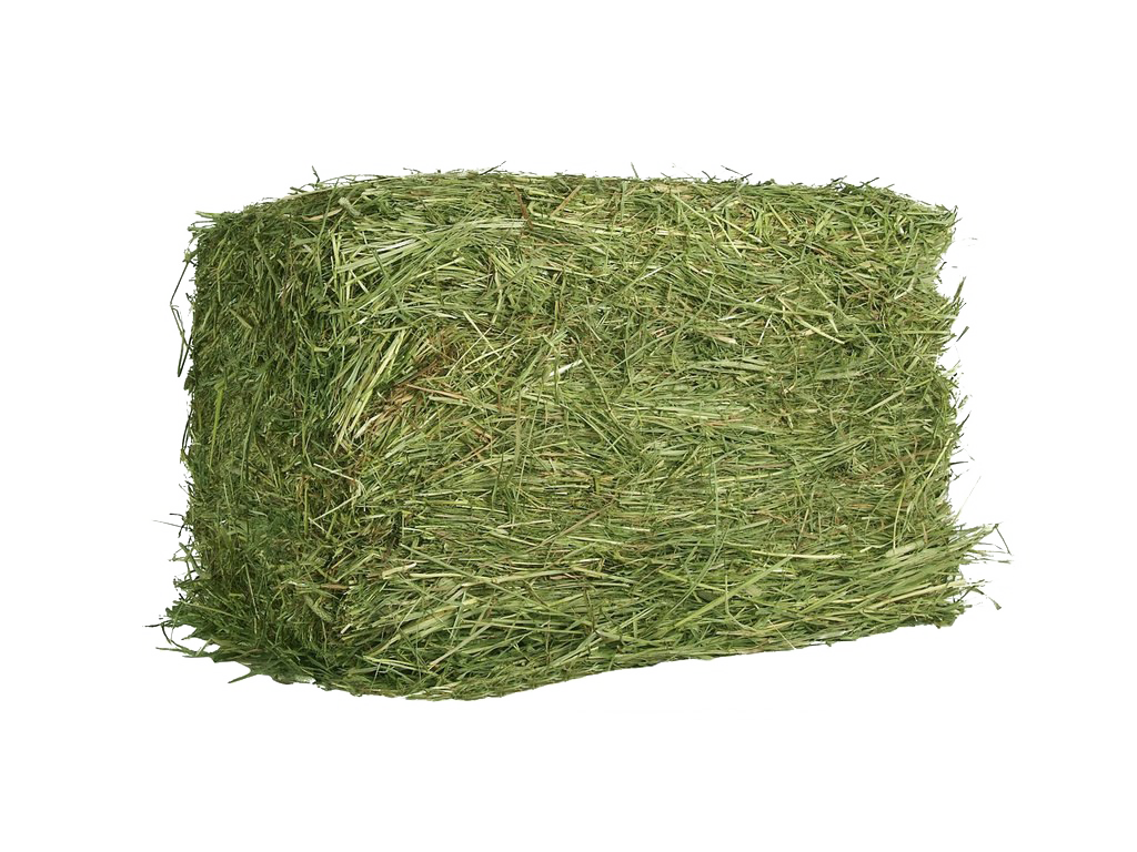 Square Hay PNG Free Download