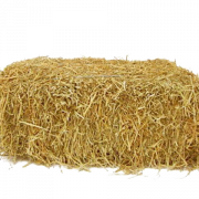 Square Hay PNG Image