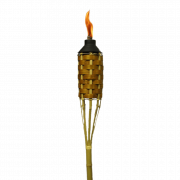 Torch PNG