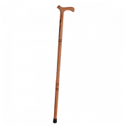 Walking Stick PNG Clipart