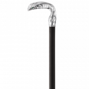 Walking Stick PNG High Quality Image