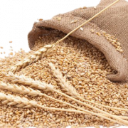 Image HD de blé PNG
