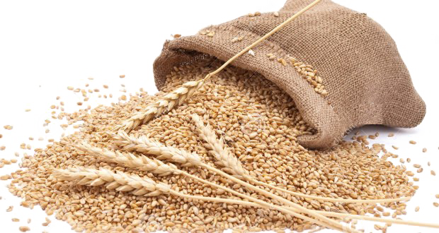 Wheat PNG HD Image