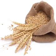 Buğday png görüntü dosyası