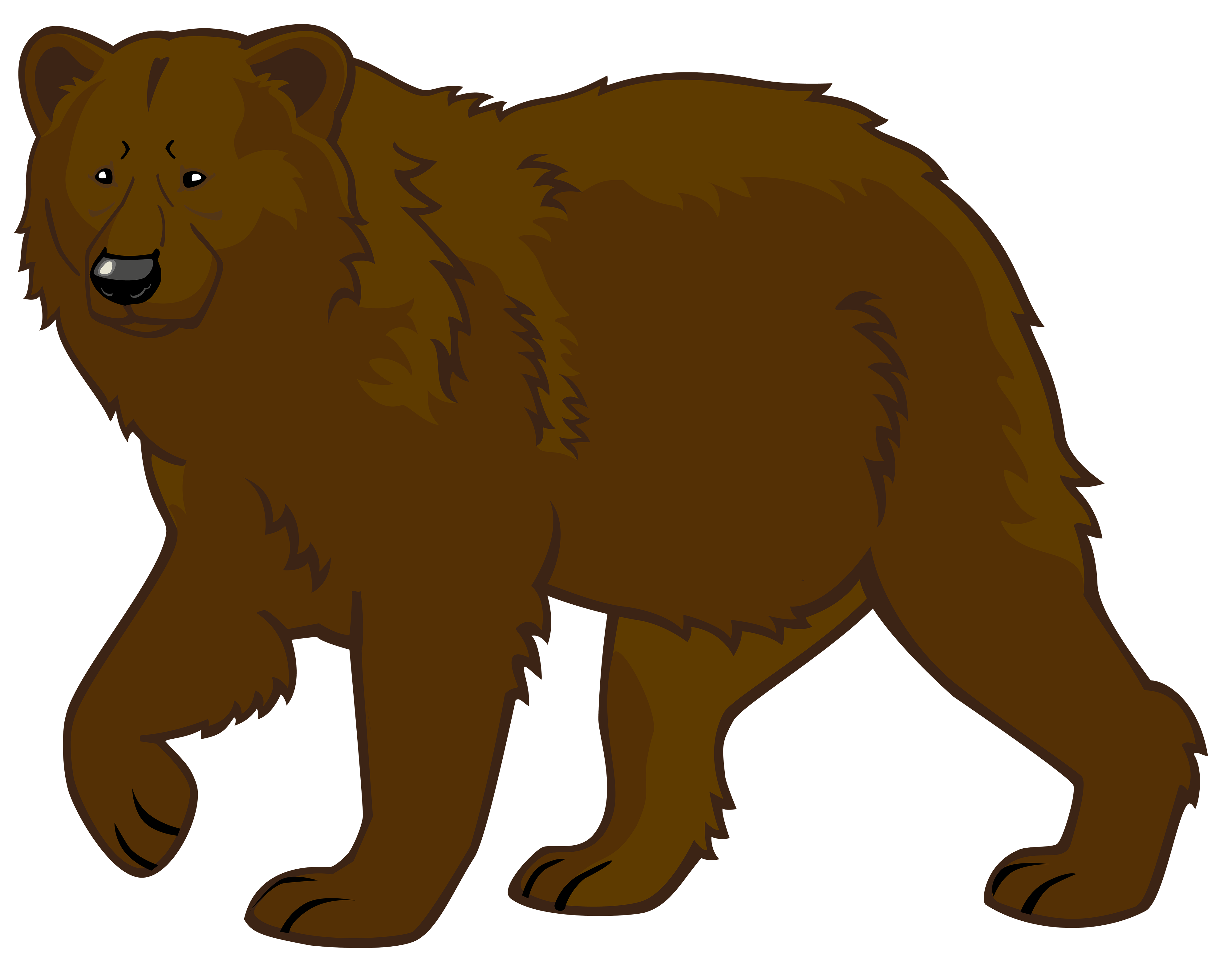 Медведь PNG 10