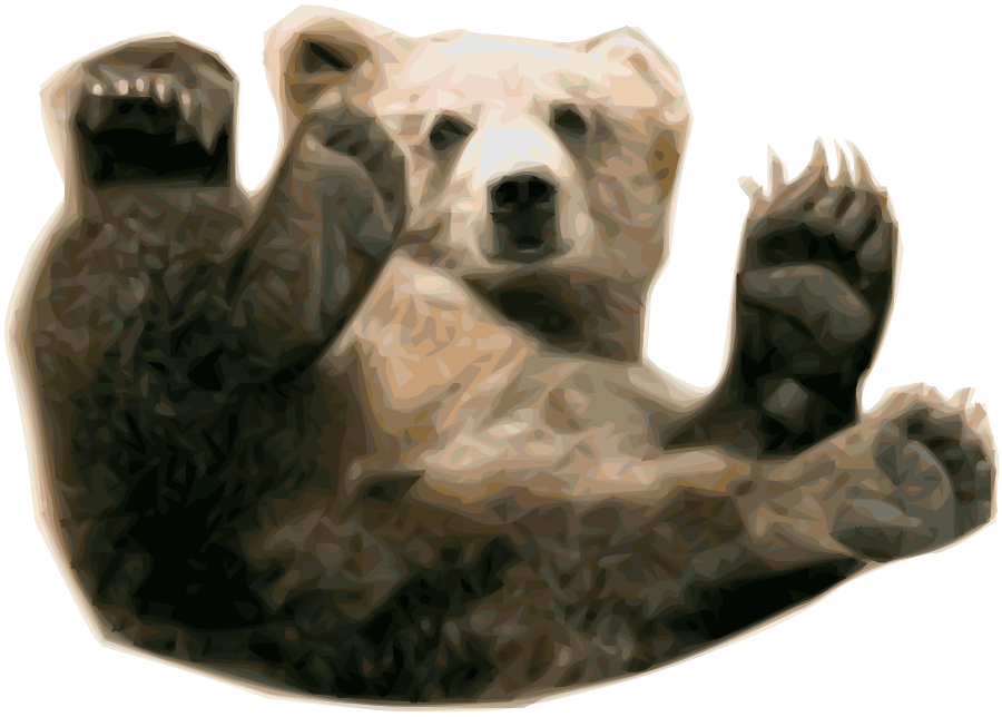 Медведь PNG 13