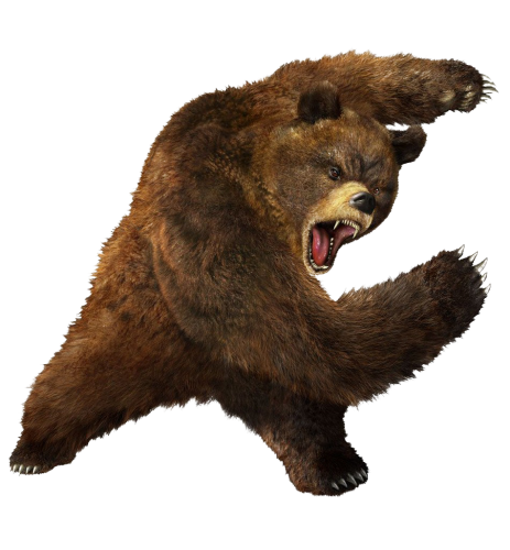 Медведь PNG 5
