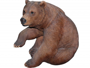 Медведь PNG 6