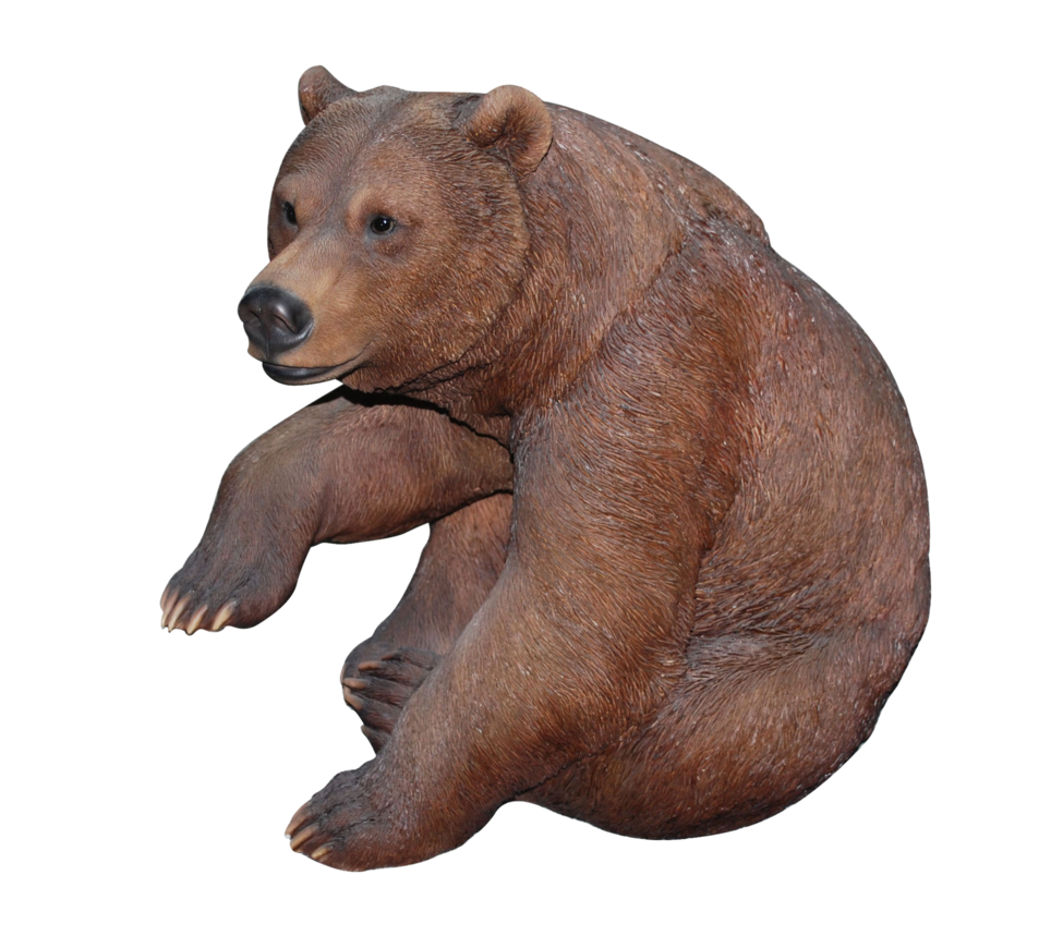 Медведь PNG 6