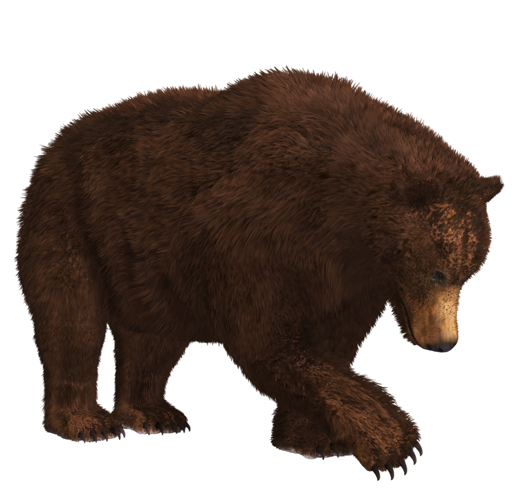 Медведь PNG 9
