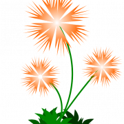 Abstrakte Blume PNG Bild