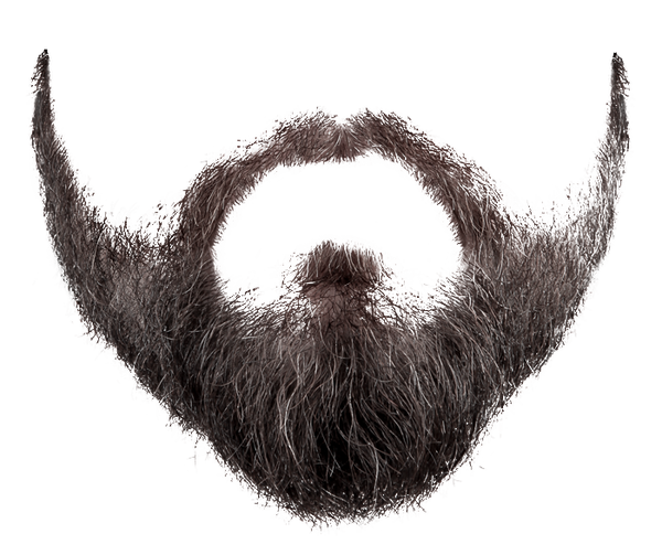 Beard PNG 2