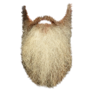 Beard PNG 5