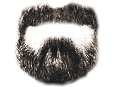 Barbe png 7