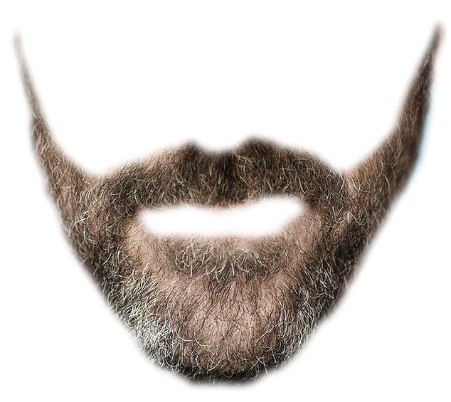 Beard PNG 9