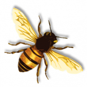 Пчела PNG 5