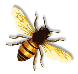 Bee png 5